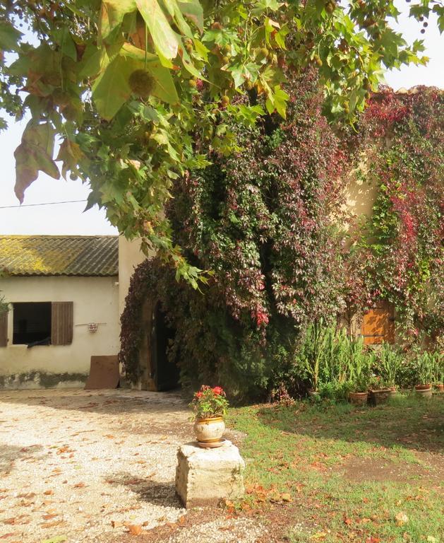 B&B Mas Les Lecques Beaucaire  Exterior photo