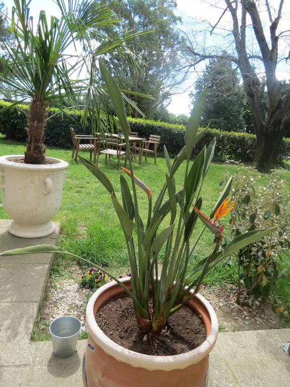 B&B Mas Les Lecques Beaucaire  Exterior photo