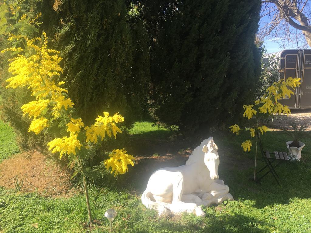 B&B Mas Les Lecques Beaucaire  Exterior photo